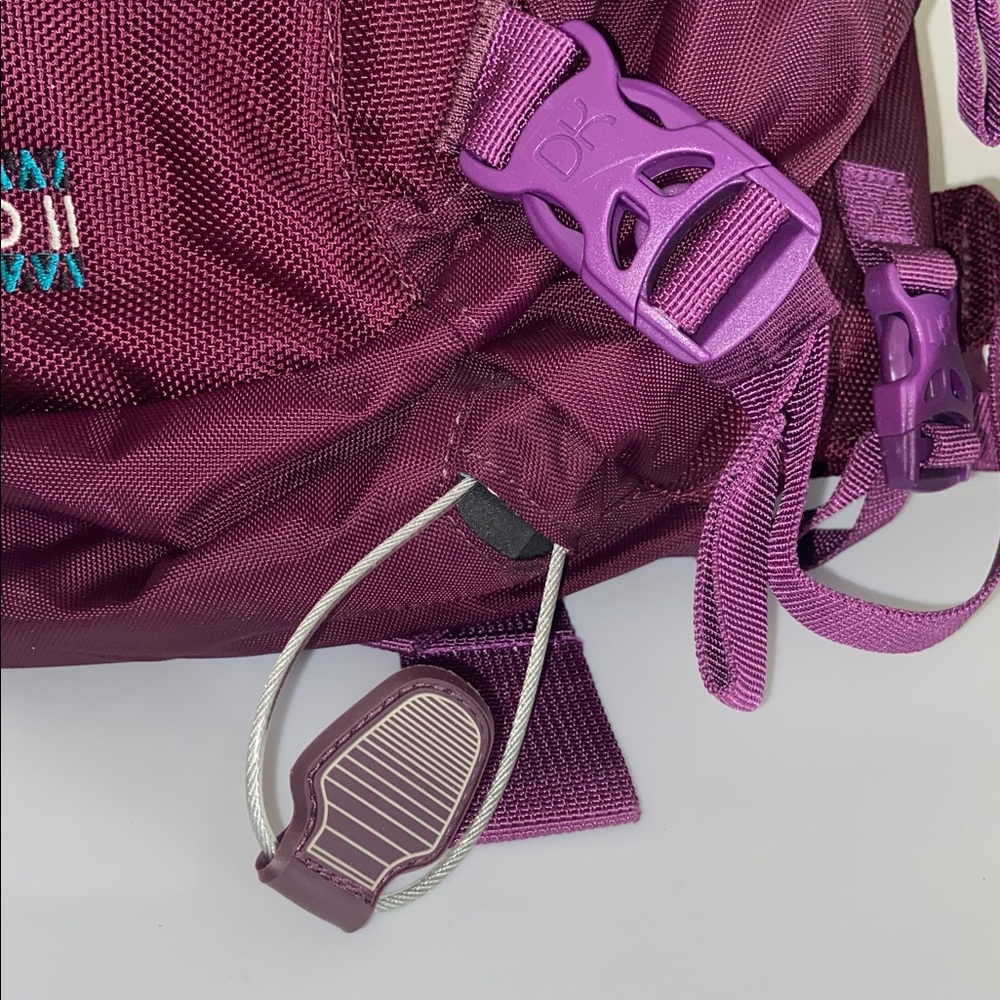 Dakine Pro 2 Ski & Snowboarding Backpack - Picture 2 of 9